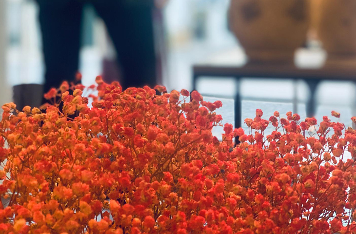 CERVUS - Concept & Decoration