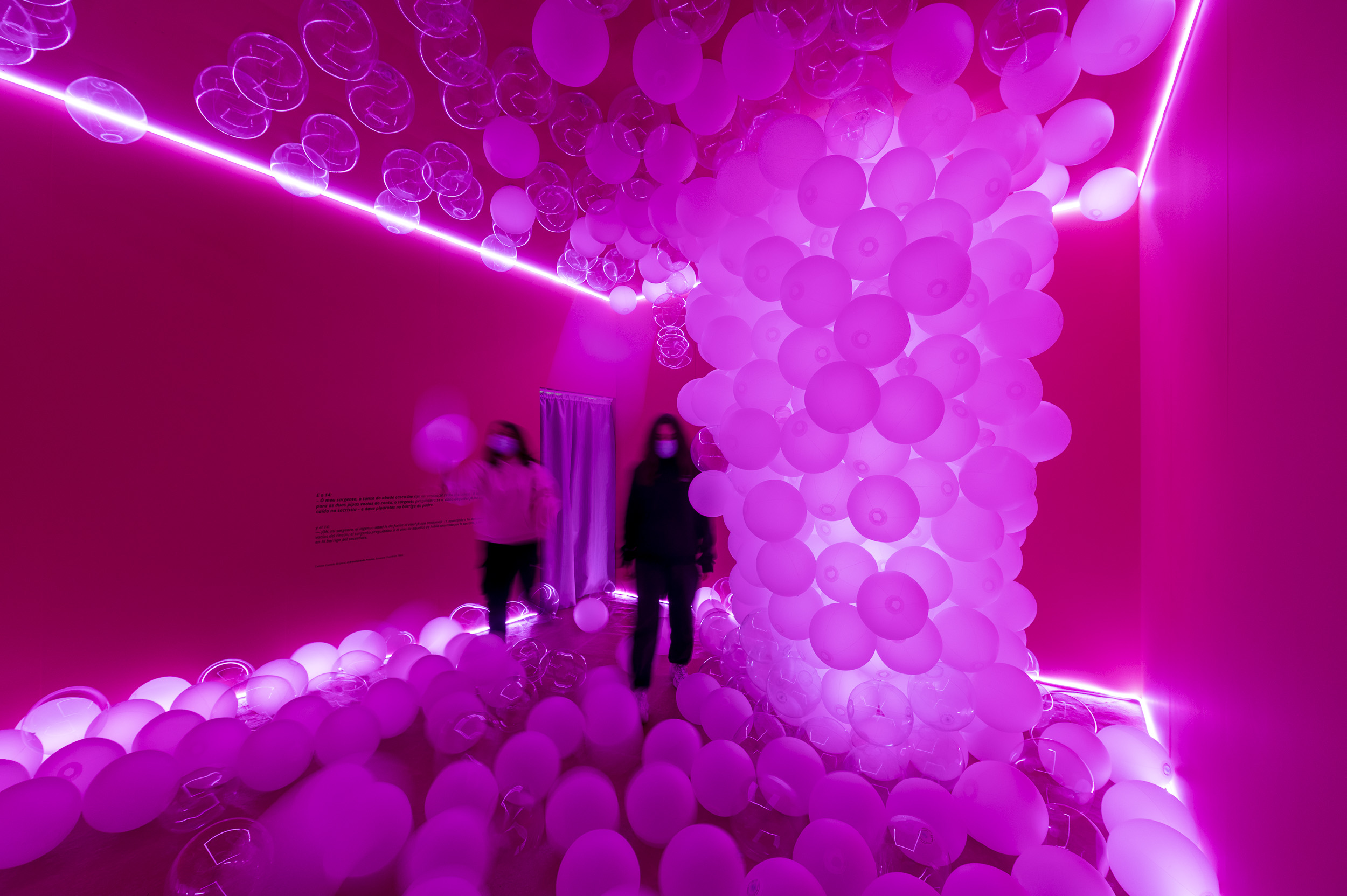 CERVUS - Concept & Decoration