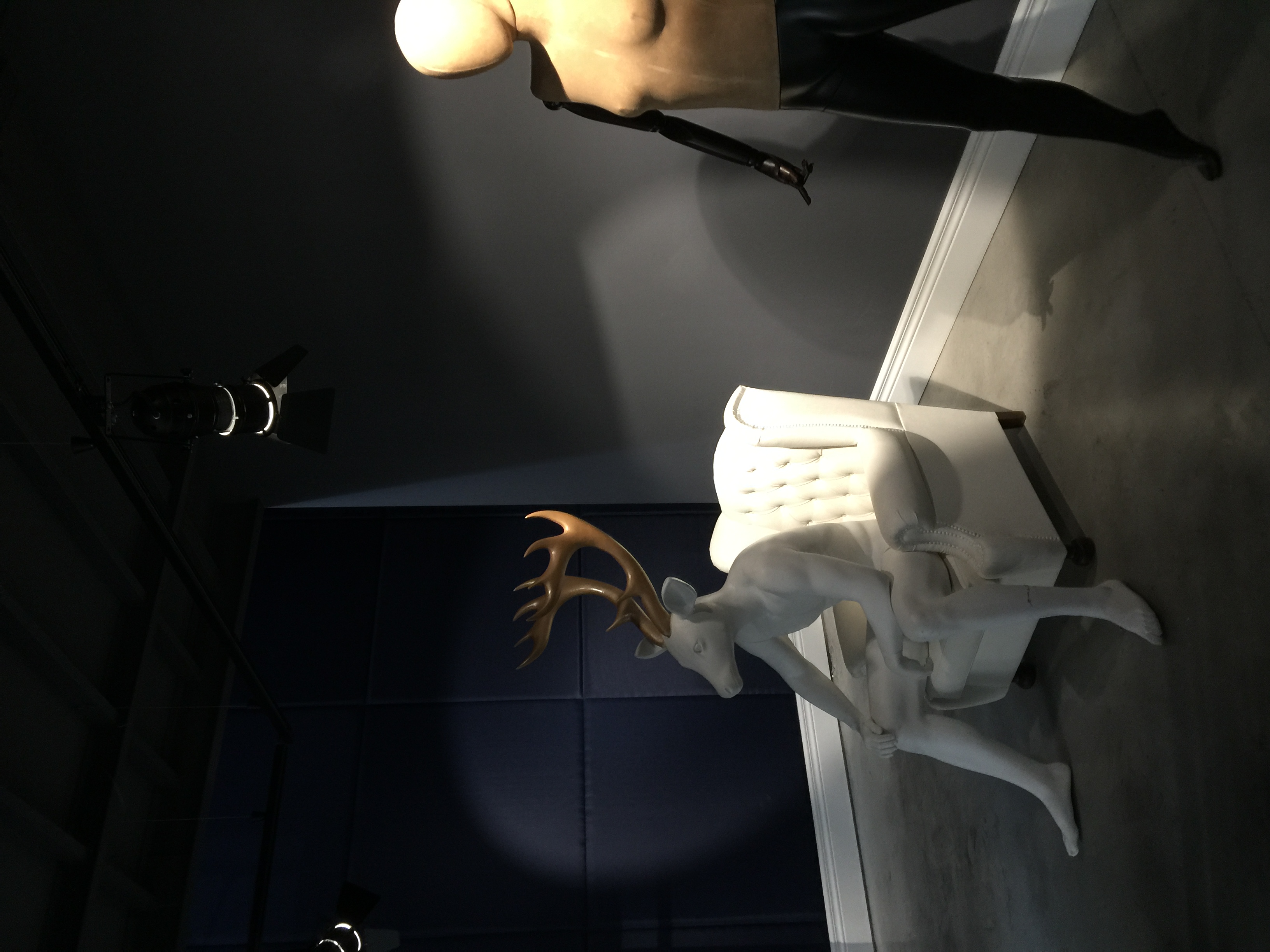 CERVUS - Concept & Decoration